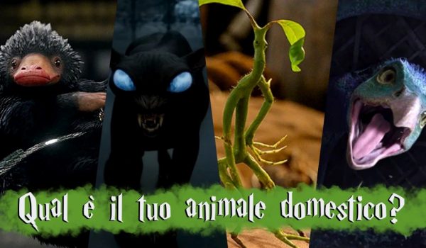 Cinegiornale.net quiz-harry-potter-quale-animale-magico-sei-in-base-al-tuo-segno-zodiacale-600x350 Quiz Harry Potter: quale animale magico sei in base al tuo segno zodiacale? News  