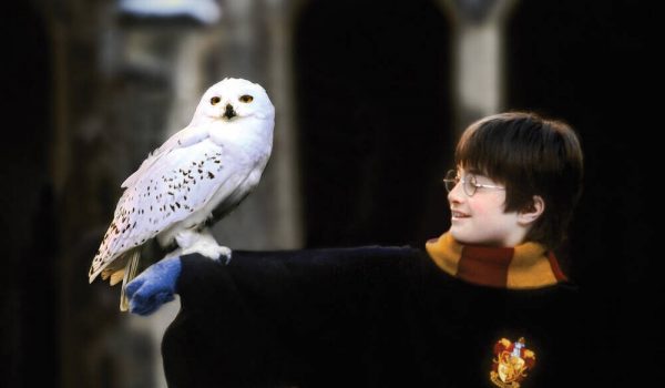 Cinegiornale.net quiz-harry-potter-quale-sarebbe-la-tua-piu-grande-tentazione-ad-hogwarts-600x350 Quiz Harry Potter: quale sarebbe la tua più grande tentazione ad Hogwarts? News  