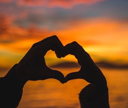 Cinegiornale.net amor-417x350 Amor Cinema News Trailers  