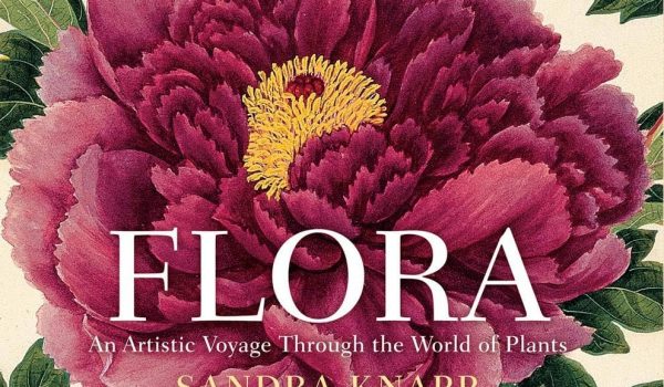 Cinegiornale.net flora-600x350 Flora Cinema News Trailers  