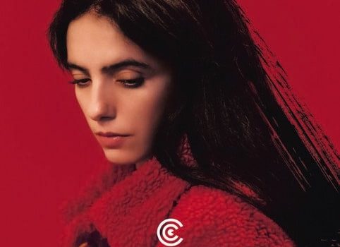Cinegiornale.net le-ravissement-482x350 Le Ravissement Cinema News Trailers  