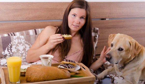 Cinegiornale.net i-cani-possono-mangiare-il-burro-600x350 I cani possono mangiare il burro? News  