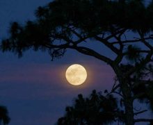 Cinegiornale.net superluna-220x180 Superluna Cinema News Trailers  