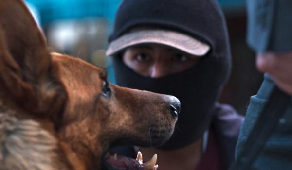 Cinegiornale.net el-ladron-de-perros-lanteprima-mondiale-del-film-di-vinko-tomicic-1-600x350 El Ladron de Perros, l’anteprima mondiale del film di Vinko Tomicic Cinema News  