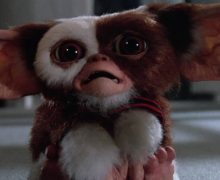 Cinegiornale.net gremlins-3-cosa-e-successo-al-sequel-pianificato-220x180 Gremlins 3: cosa è successo al sequel pianificato? News  