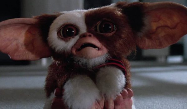 Cinegiornale.net gremlins-3-cosa-e-successo-al-sequel-pianificato-600x350 Gremlins 3: cosa è successo al sequel pianificato? News  