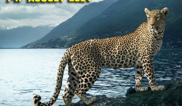 Cinegiornale.net locarno77-annie-leibovitz-firma-il-poster-ufficiale-della-nuova-edizione-1-600x350 Locarno77: Annie Leibovitz firma il poster ufficiale della nuova edizione News  