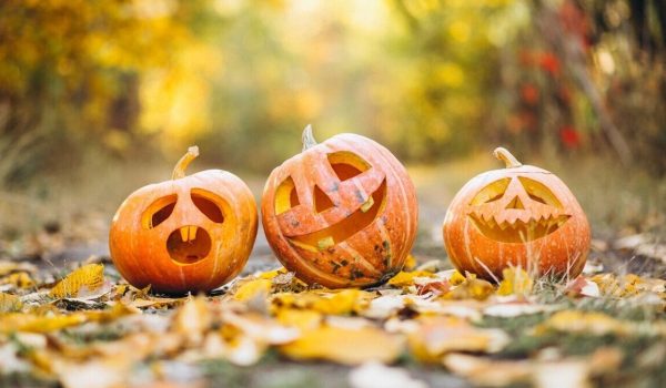 Cinegiornale.net halloween-2024-i-migliori-eventi-in-italia-da-non-perdere-600x350 Halloween 2024: i migliori eventi in Italia da non perdere News  