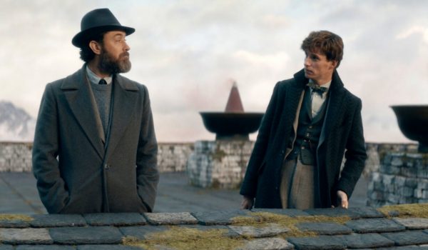 Cinegiornale.net animali-fantastici-jude-law-parla-del-futuro-del-magico-spin-off-vedremo-nuovi-capitoli-600x350 Animali Fantastici, Jude Law parla del futuro del magico spin-off: vedremo nuovi capitoli? News  