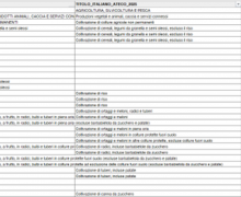 Cinegiornale.net ateco-2025-pubblicate-le-note-esplicative-e-ulteriore-documentazione-per-il-corretto-utilizzo-della-classificazione-220x180 ATECO 2025: pubblicate le note esplicative e ulteriore documentazione per il corretto utilizzo della classificazione News  