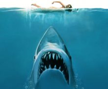 Cinegiornale.net lo-squalo-compie-gli-anni-10-segreti-incredibili-che-forse-non-sapevi-sul-film-che-ha-terrorizzato-il-mondo-220x180 Lo Squalo compie gli anni: 10 segreti incredibili che (forse) non sapevi sul film che ha terrorizzato il mondo Cinema News  