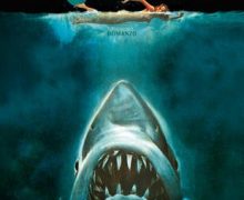 Cinegiornale.net lo-squalo-di-peter-benchley-torna-in-libreria-unedizione-speciale-per-il-50-anniversario-del-film-220x180 Lo squalo di Peter Benchley torna in libreria: un’edizione speciale per il 50° anniversario del film News  