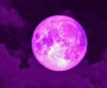 Cinegiornale.net luna-delle-fragole-quando-vederla-e-dove-ammirarla-al-meglio-220x180 Luna delle Fragole: quando vederla e dove ammirarla al meglio News  