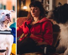 Cinegiornale.net che-fine-ha-fatto-linneo-il-cane-in-blanca-3-sparisce-e-arriva-un-nuovo-amico-a-4-zampe-220x180 Che fine ha fatto Linneo? Il cane in Blanca 3 sparisce e arriva un nuovo amico a 4 zampe News Serie-tv  