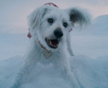 Cinegiornale.net baby-krypto-e-la-fine-di-krypton-presentati-nel-teaser-di-supergirl-al-super-bowl-220x180 Baby Krypto, e la fine di Krypton, presentati nel teaser di Supergirl al Super Bowl News  